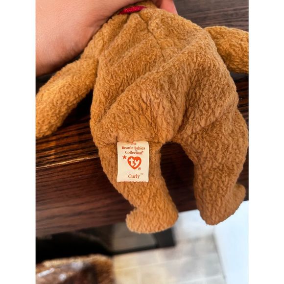 Curly TY Beanie Baby - Picture 6 of 7